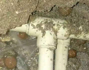 细河测漏水多少钱