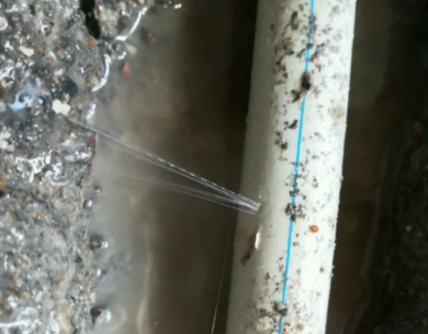 细河测漏水哪家好