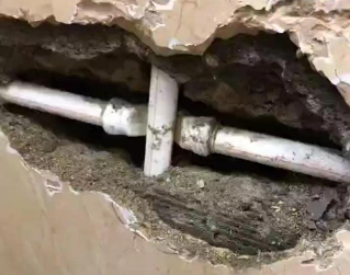 细河测漏水哪家好