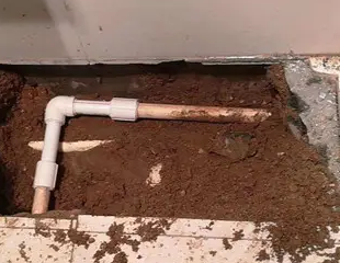 细河测漏水哪家好