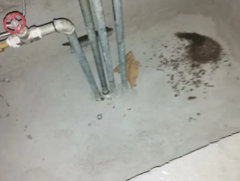 细河卫生间测漏水价格明细