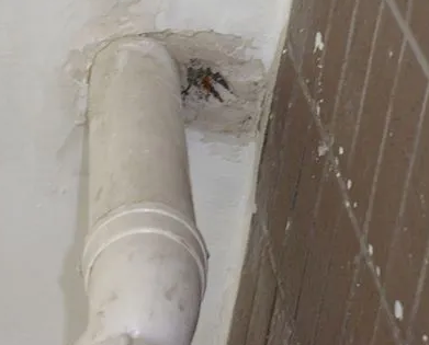 细河漏水检测哪家好